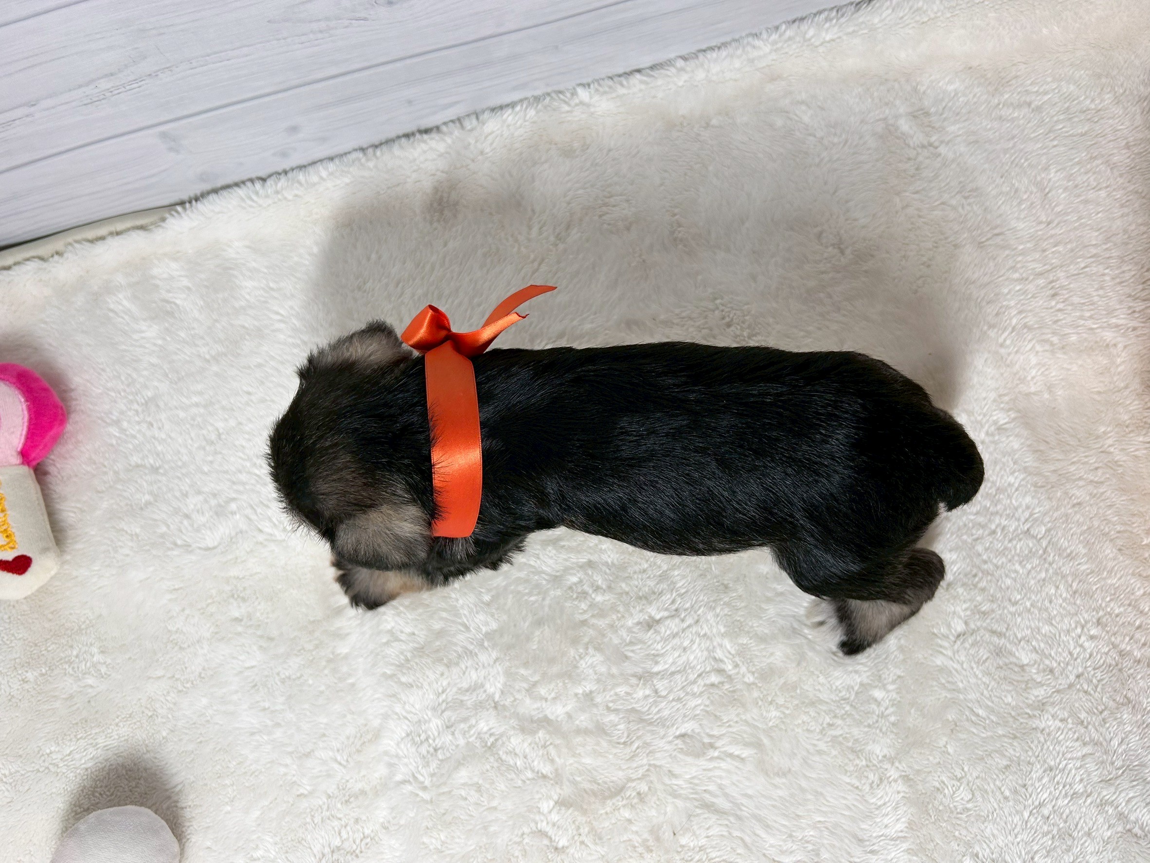 赤ちゃん写真2-3