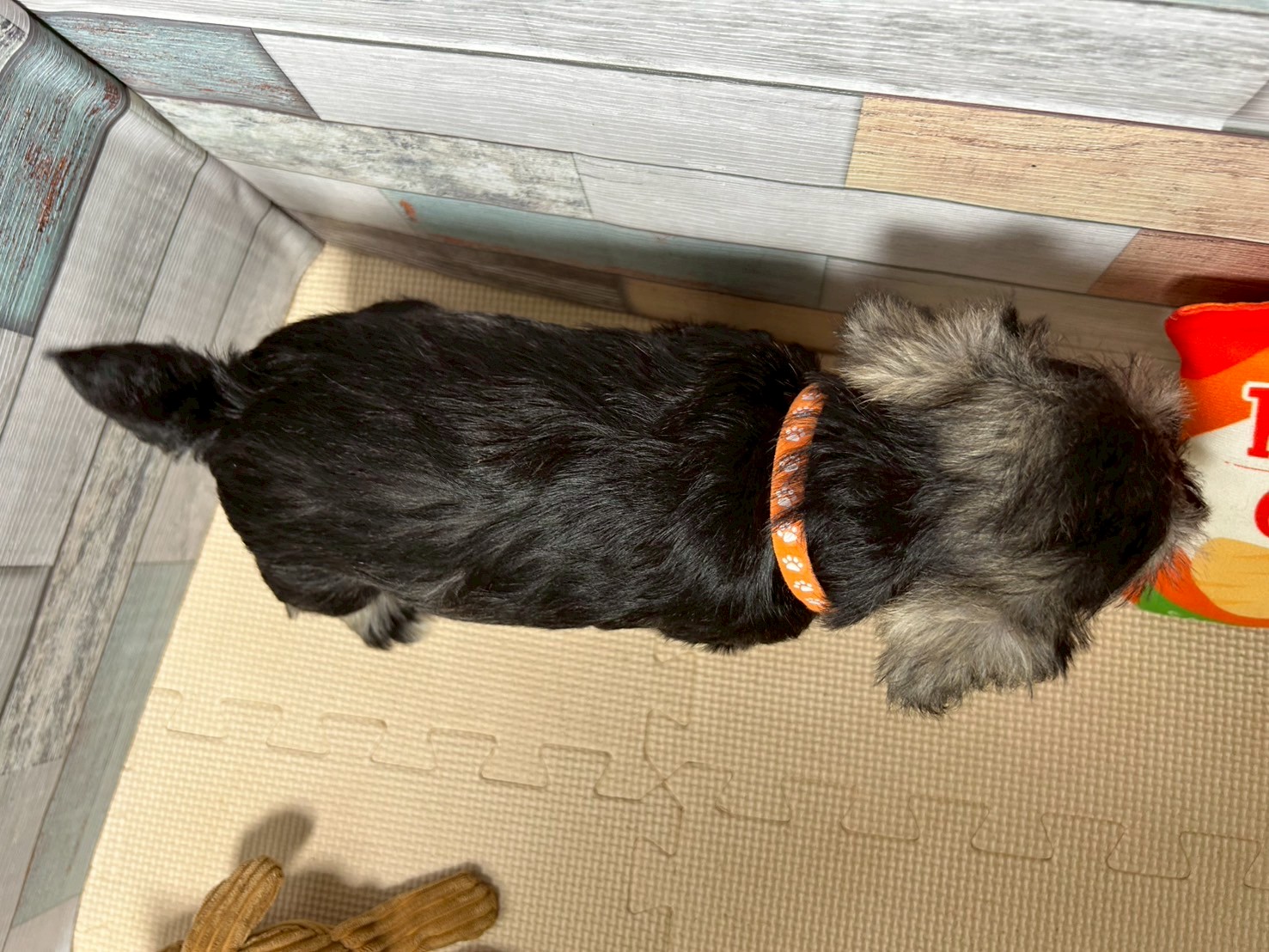 赤ちゃん写真3-3