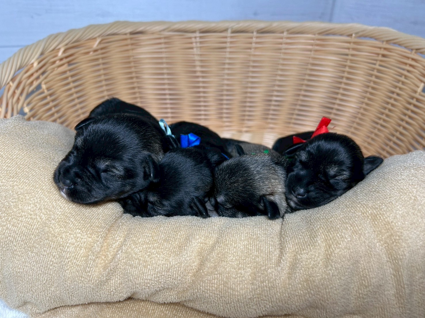赤ちゃん写真1-3