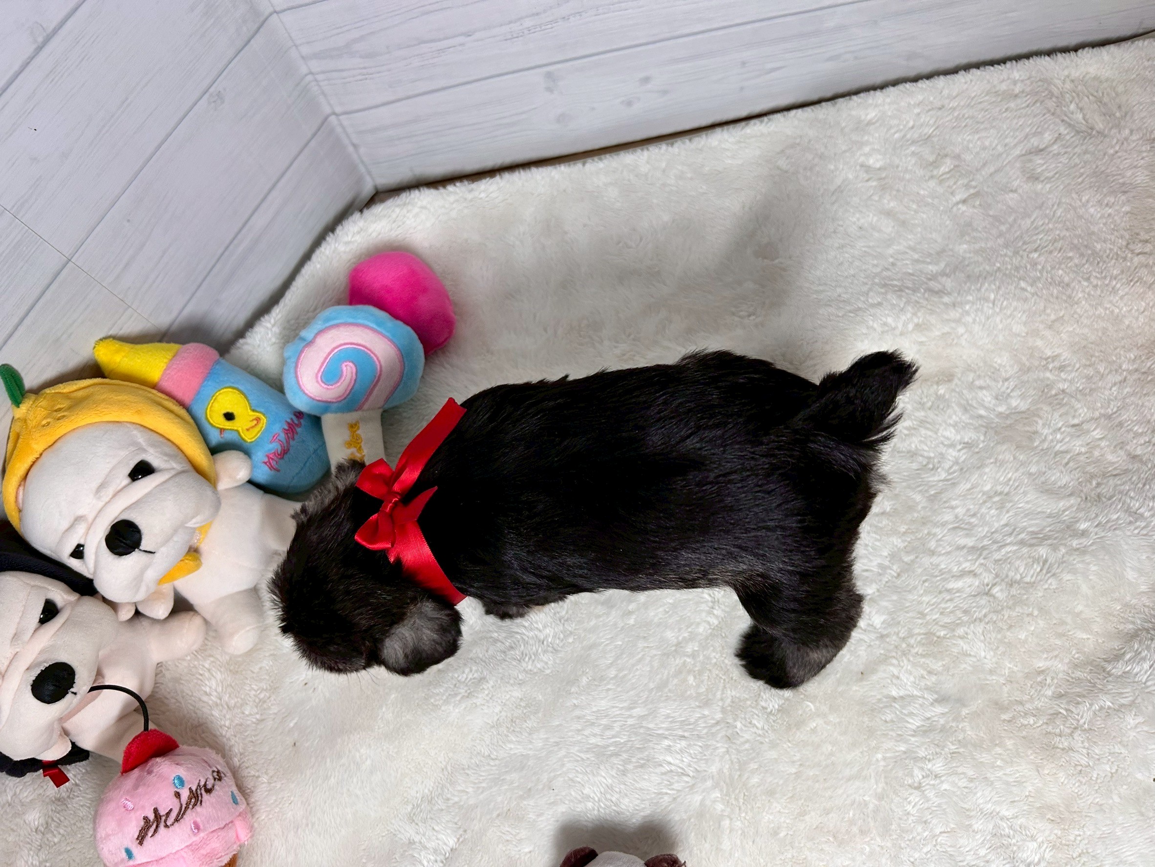 赤ちゃん写真2-3
