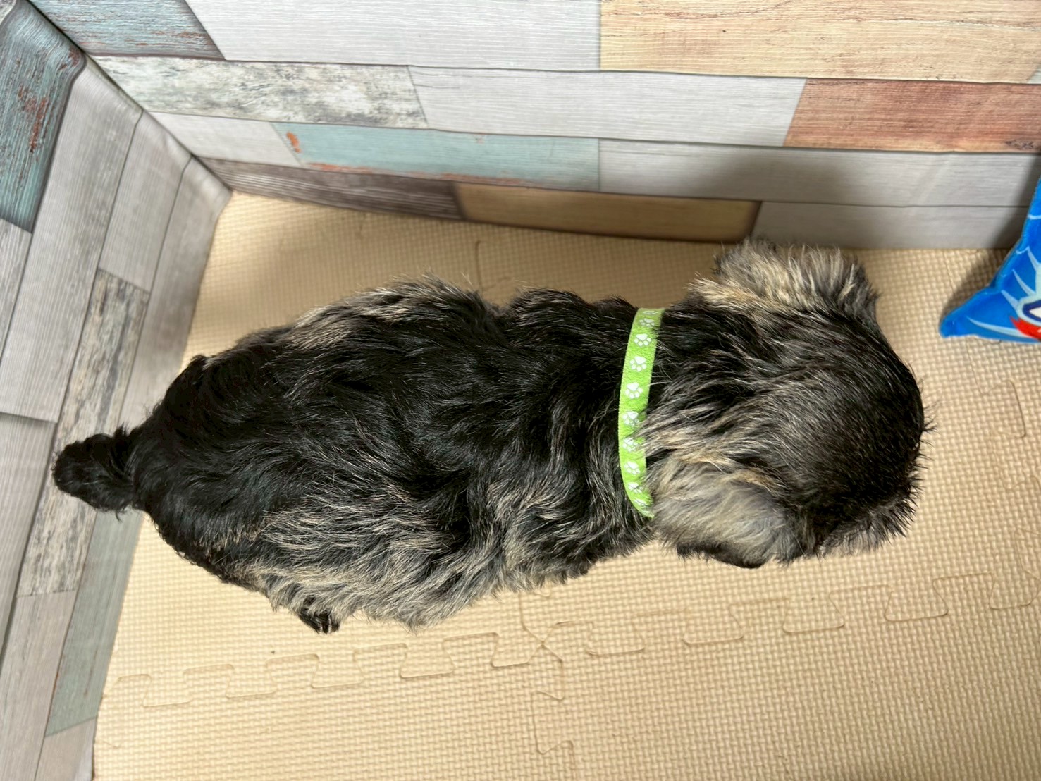 赤ちゃん写真3-3