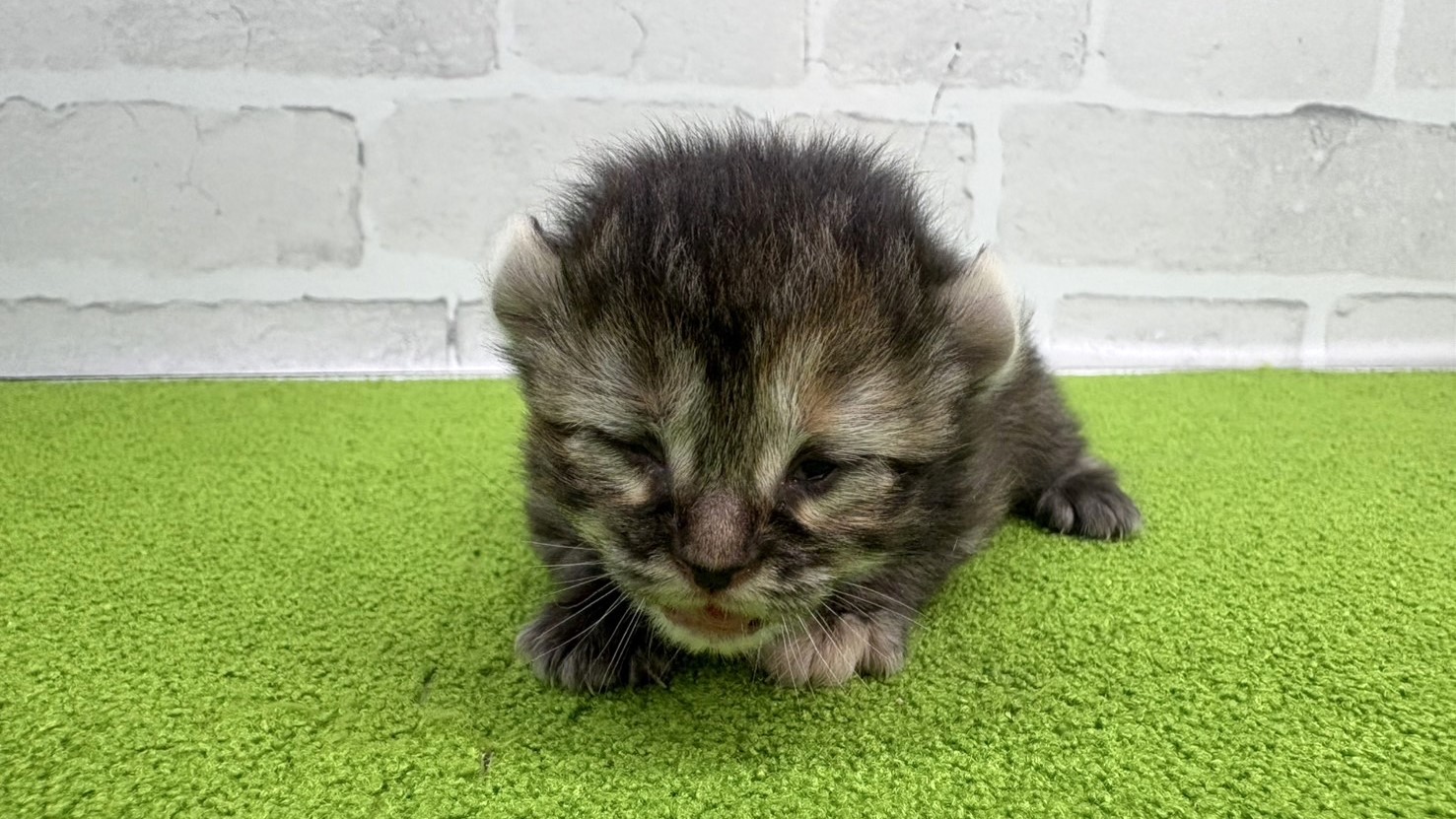 赤ちゃん写真1-1