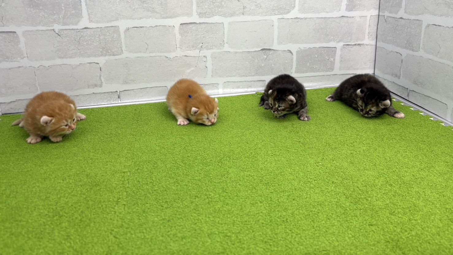 赤ちゃん写真1-3