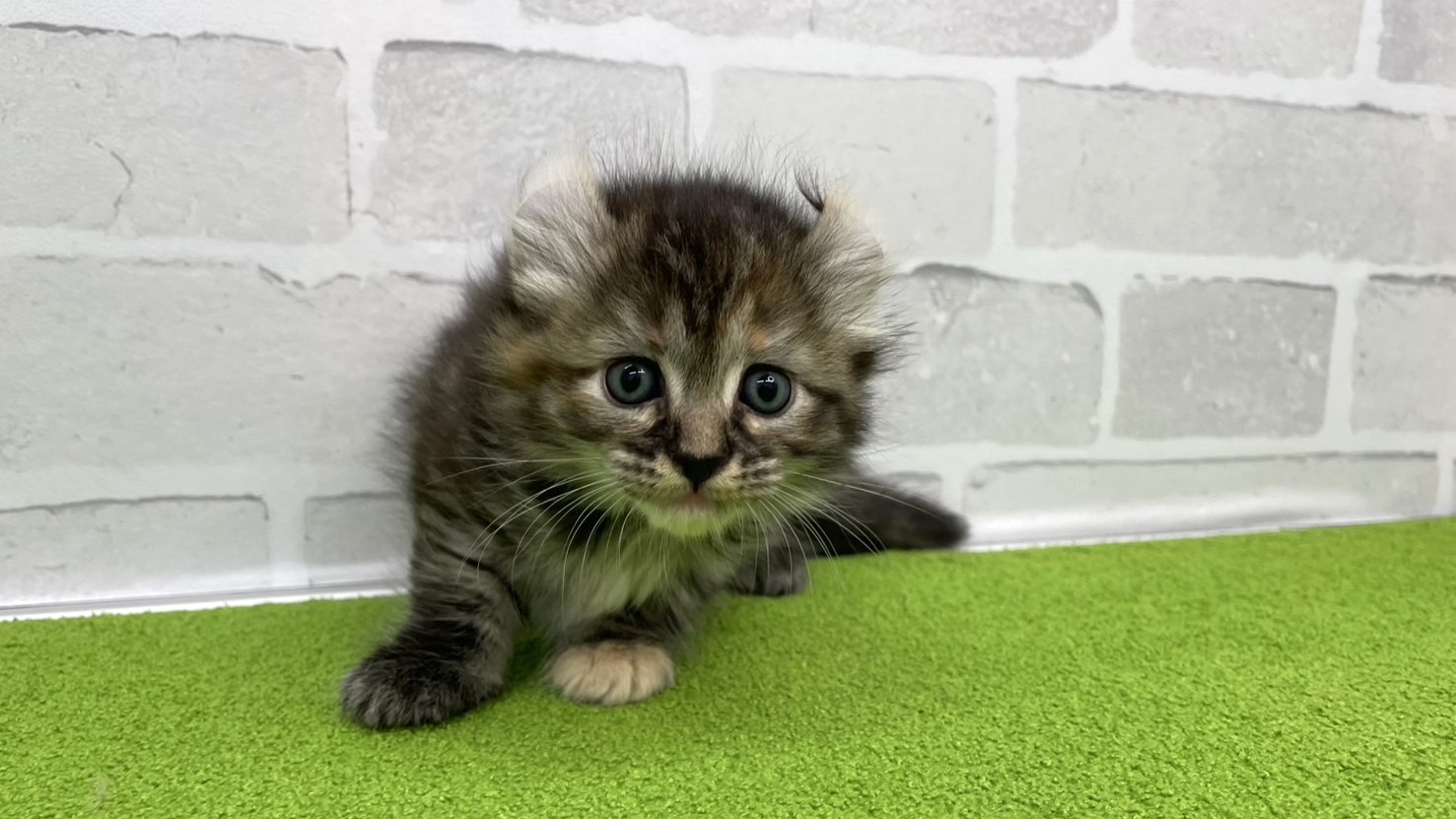 赤ちゃん写真2-1