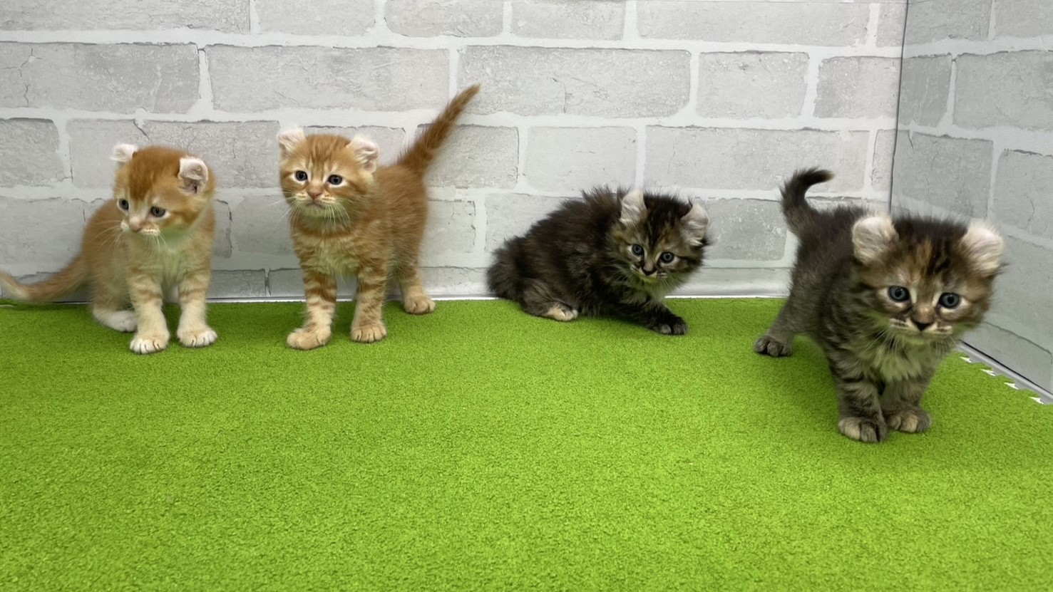 赤ちゃん写真2-3