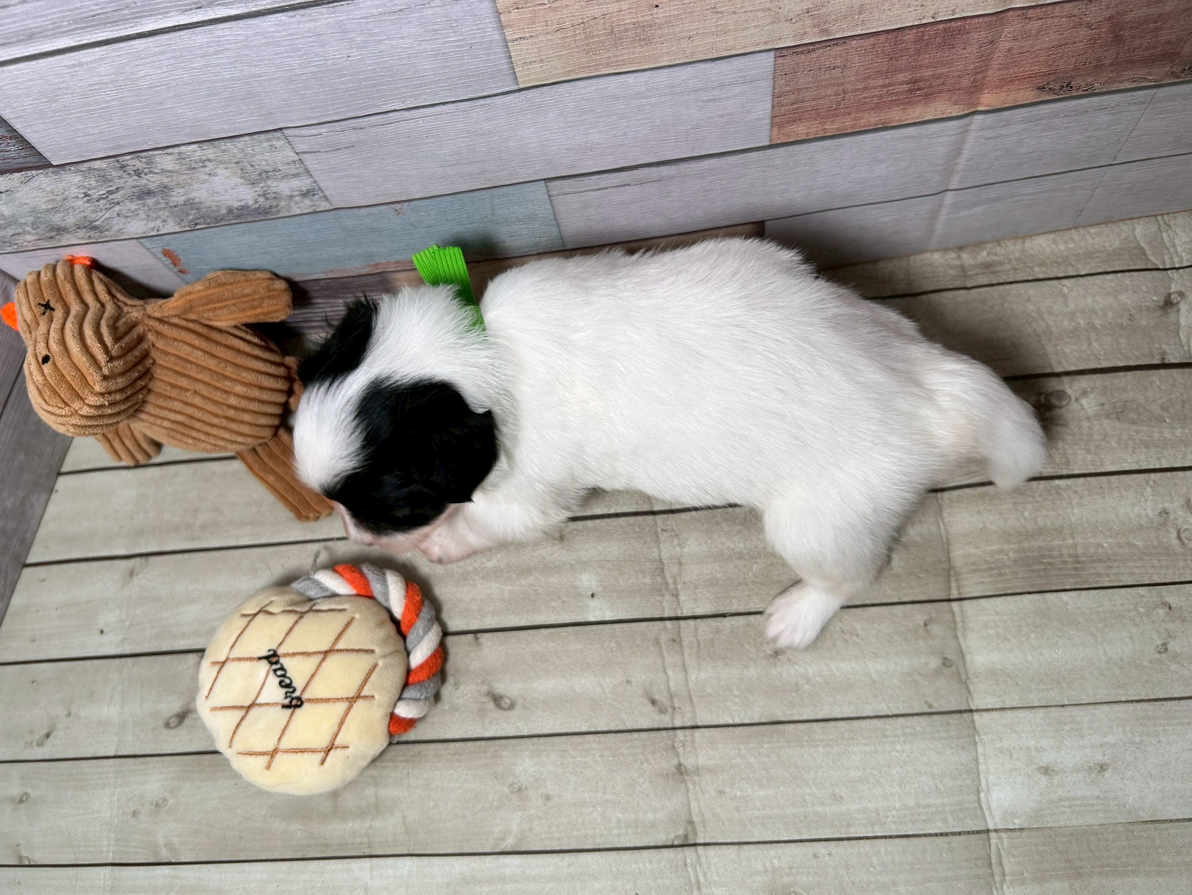 赤ちゃん写真2-3