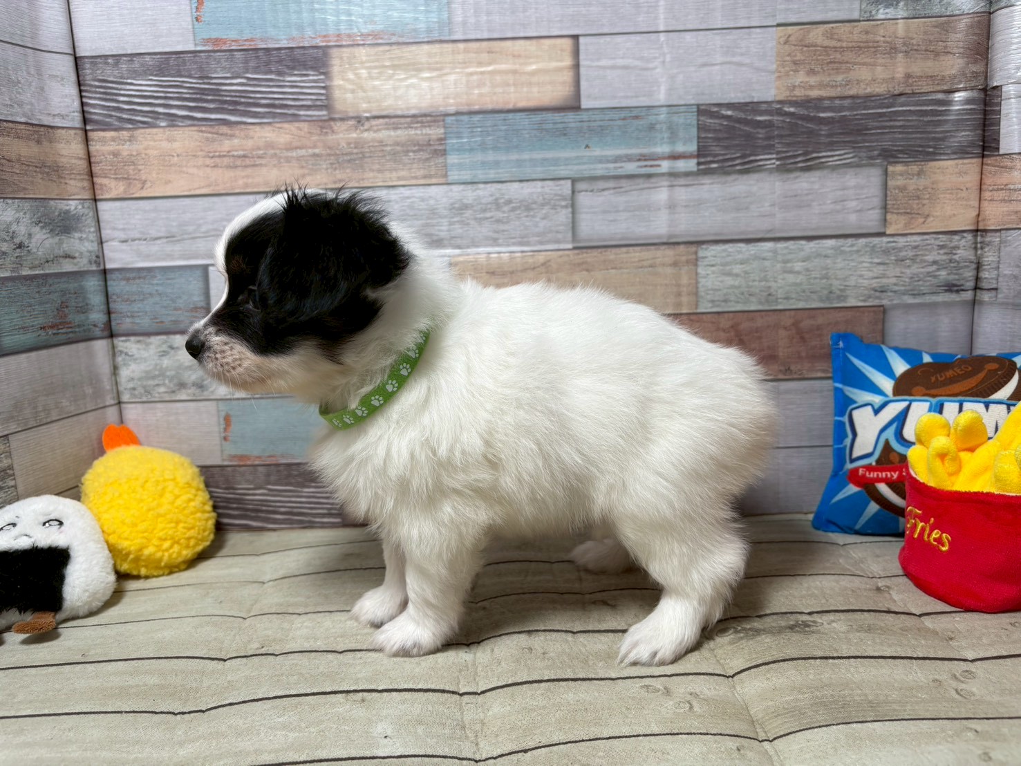 赤ちゃん写真3-2