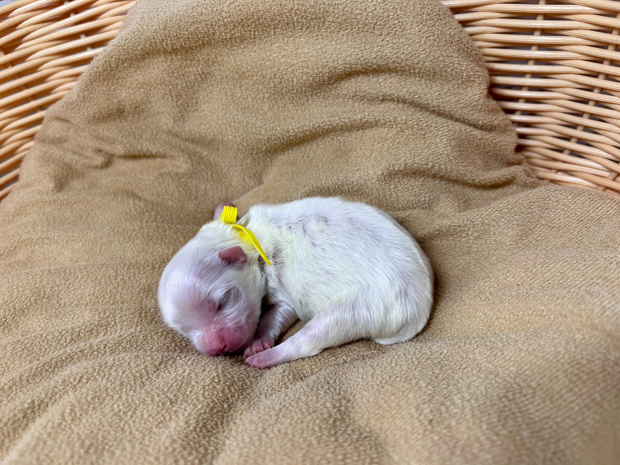 赤ちゃん写真1-2