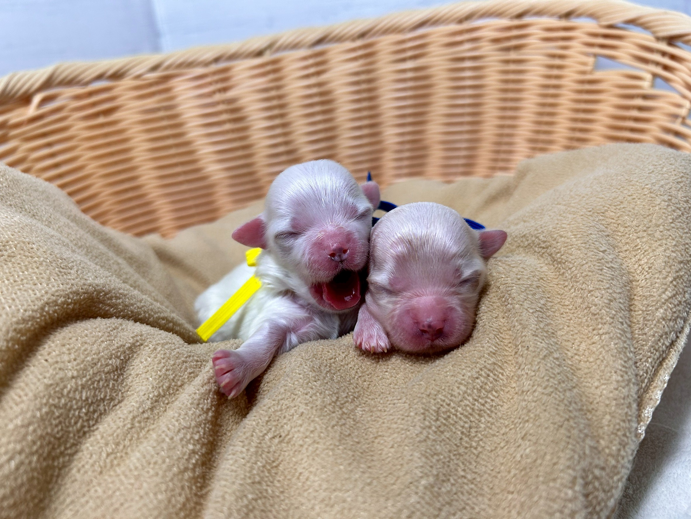 赤ちゃん写真1-3