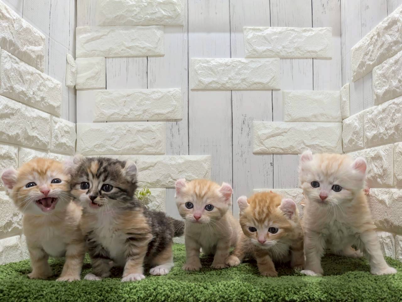 赤ちゃん写真2-3