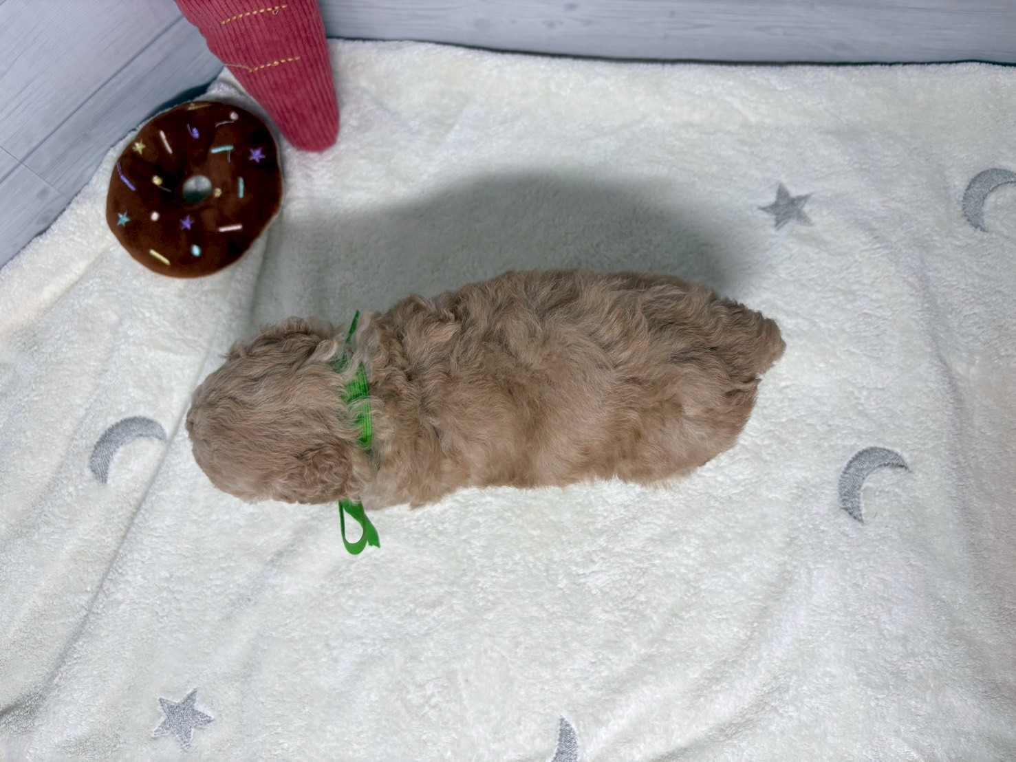 赤ちゃん写真2-3