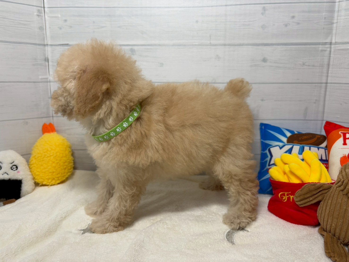 赤ちゃん写真3-2