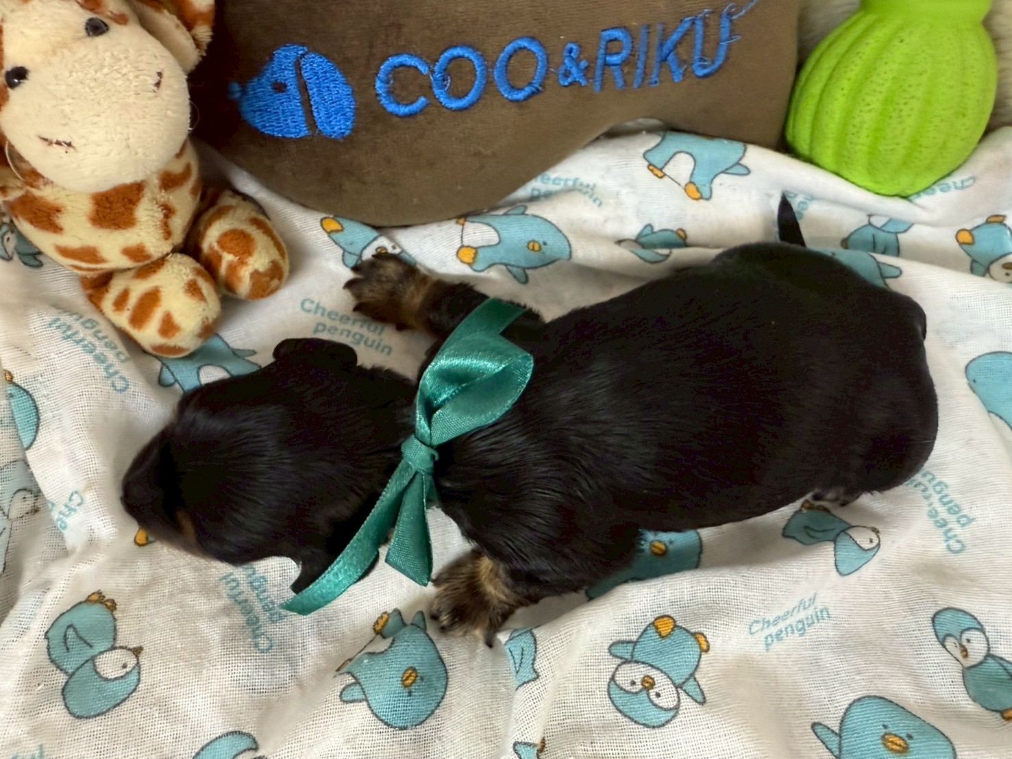 赤ちゃん写真1-3