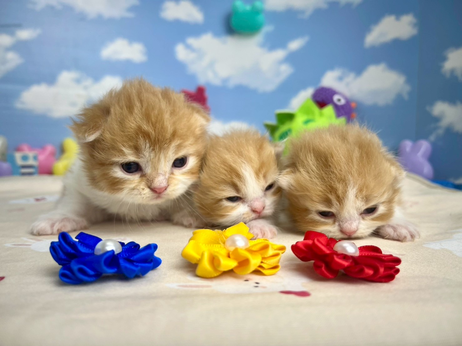 赤ちゃん写真1-3