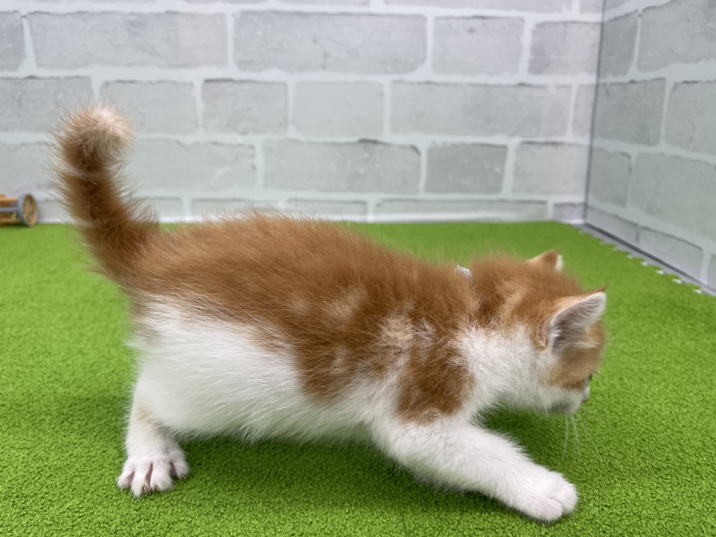 赤ちゃん写真2-2