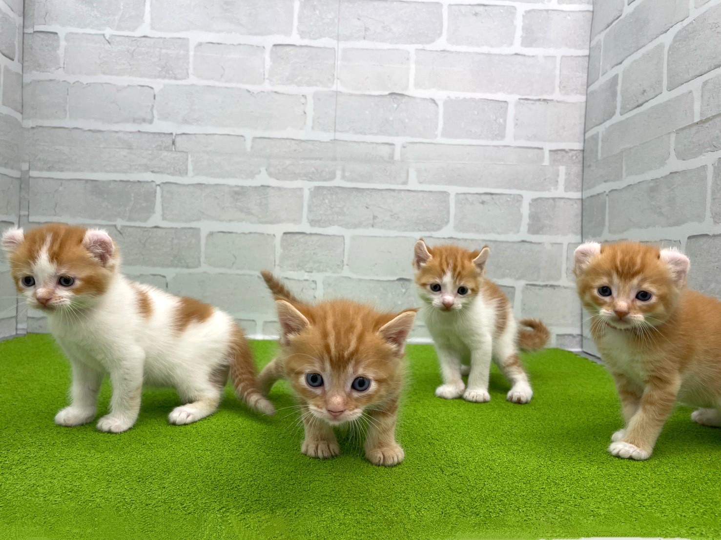赤ちゃん写真2-3
