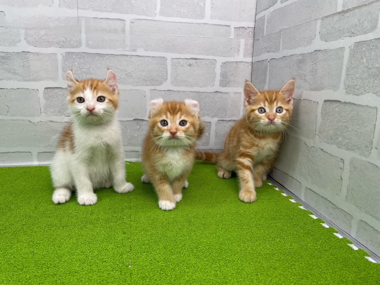 赤ちゃん写真3-3