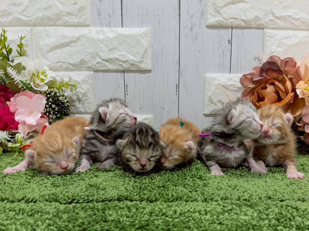 赤ちゃん写真1-3