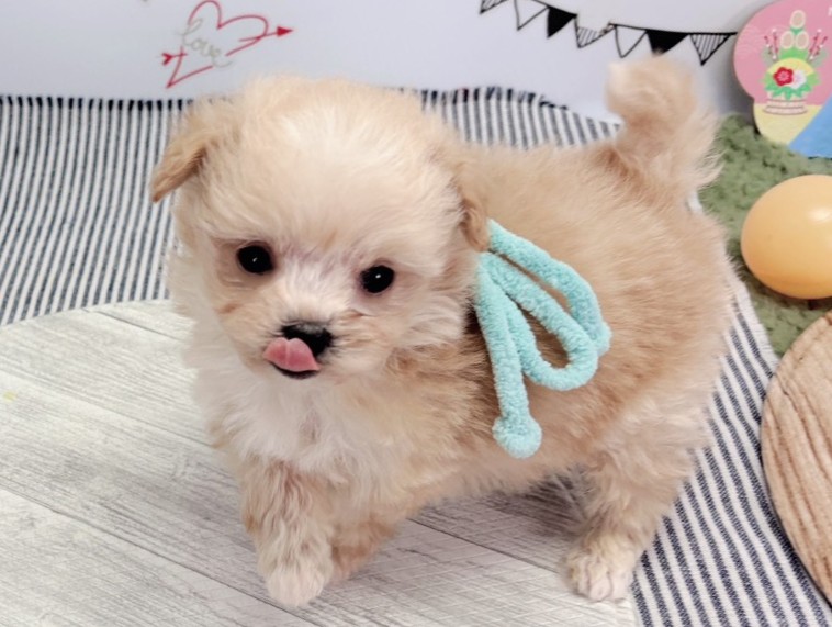 赤ちゃん写真2-2