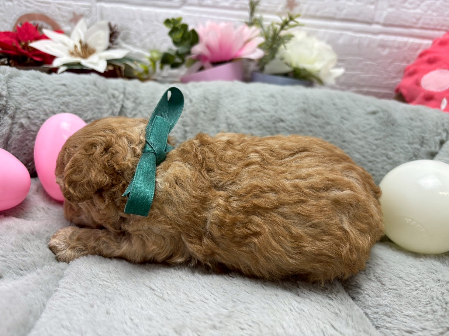 赤ちゃん写真2-2