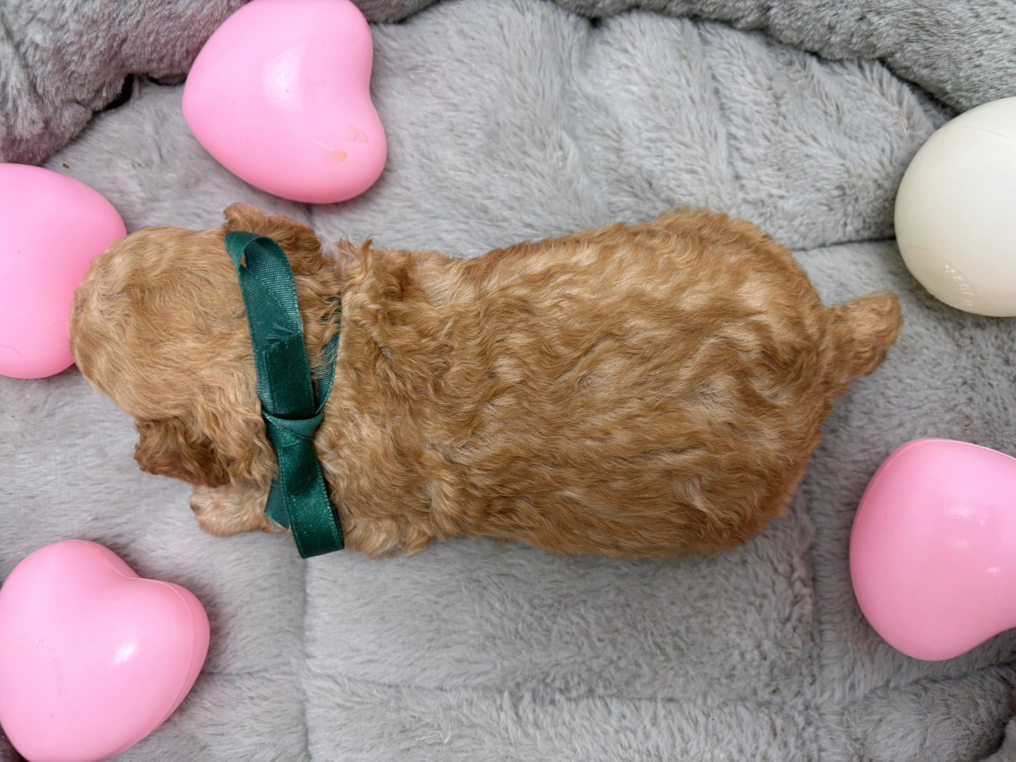 赤ちゃん写真2-3