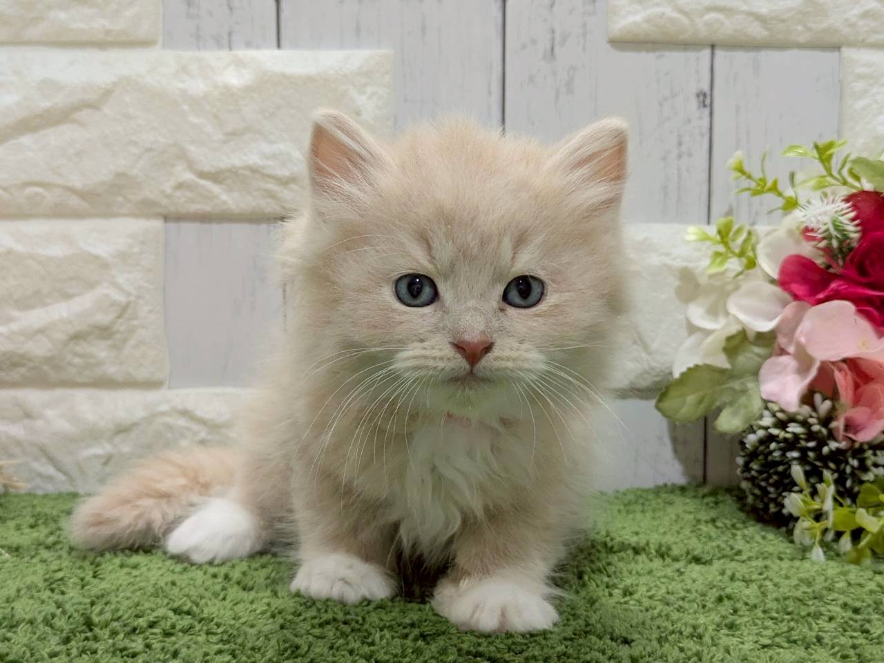 赤ちゃん写真3-1