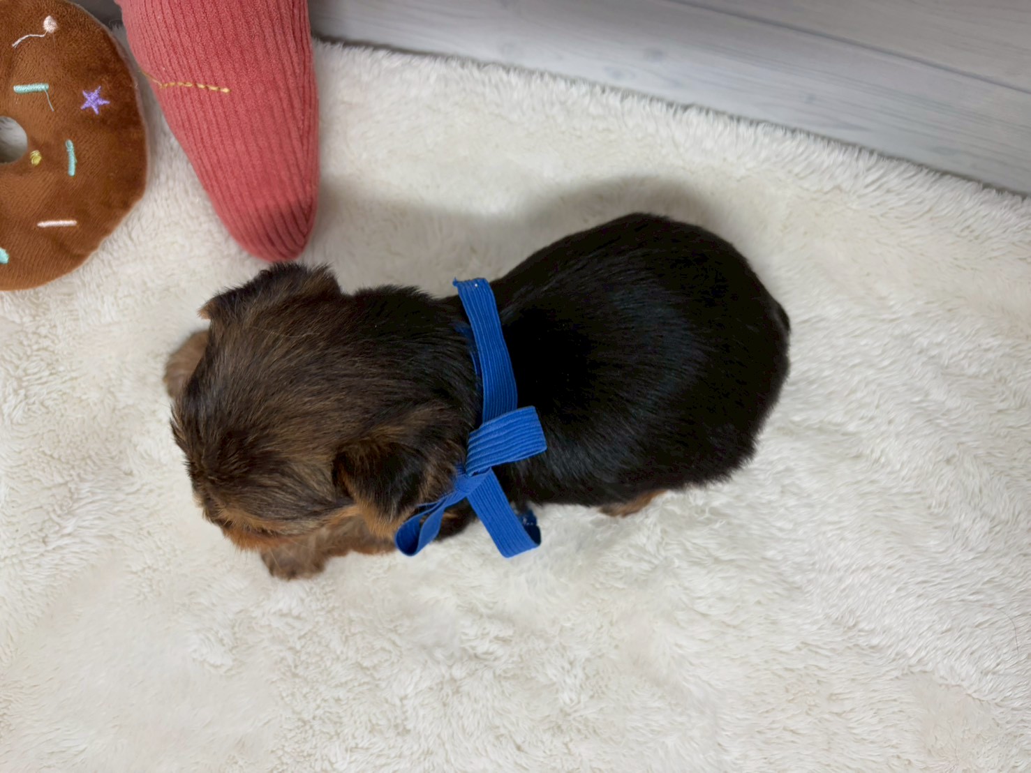 赤ちゃん写真2-3