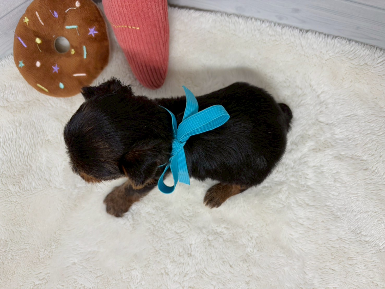 赤ちゃん写真2-3