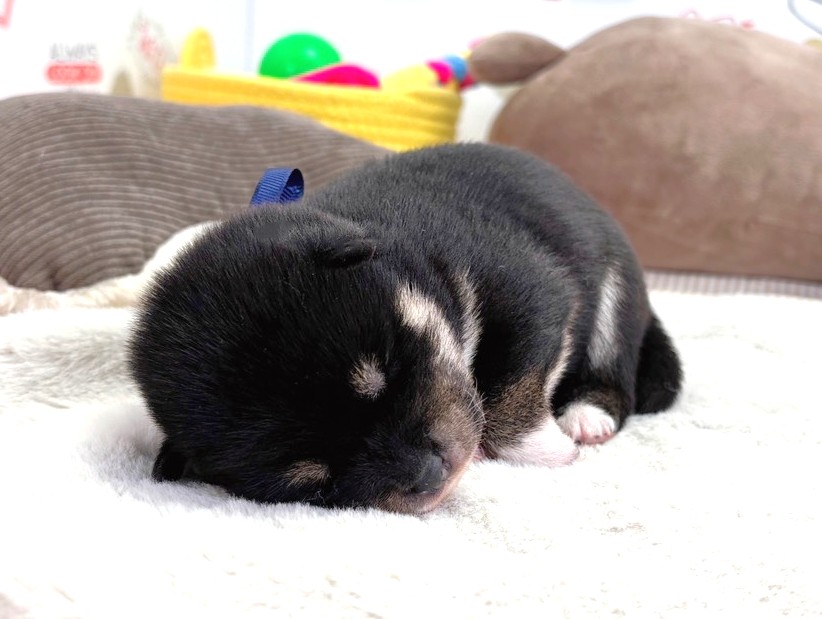 赤ちゃん写真1-1