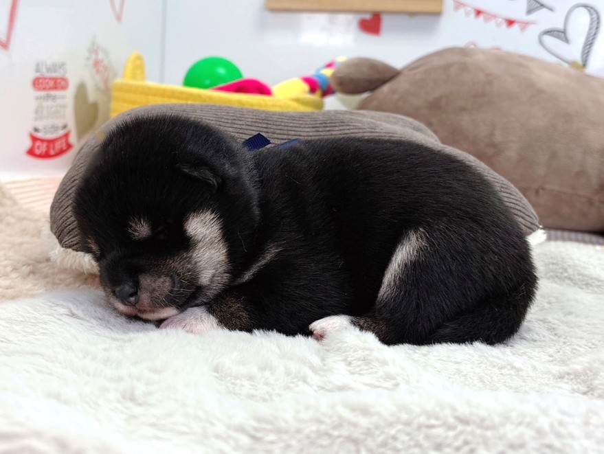 赤ちゃん写真1-2