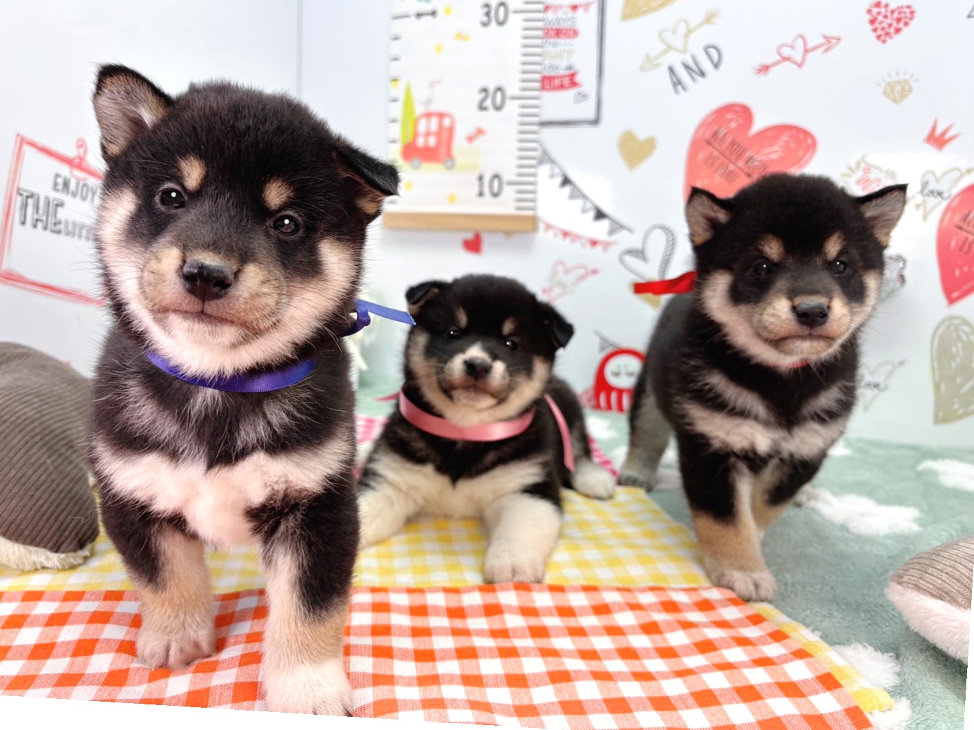 赤ちゃん写真2-3