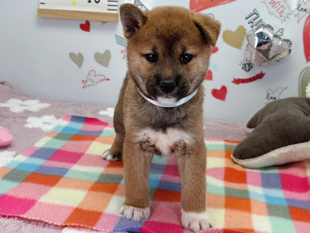 赤ちゃん写真2-1