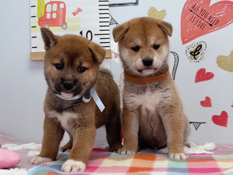 赤ちゃん写真2-3
