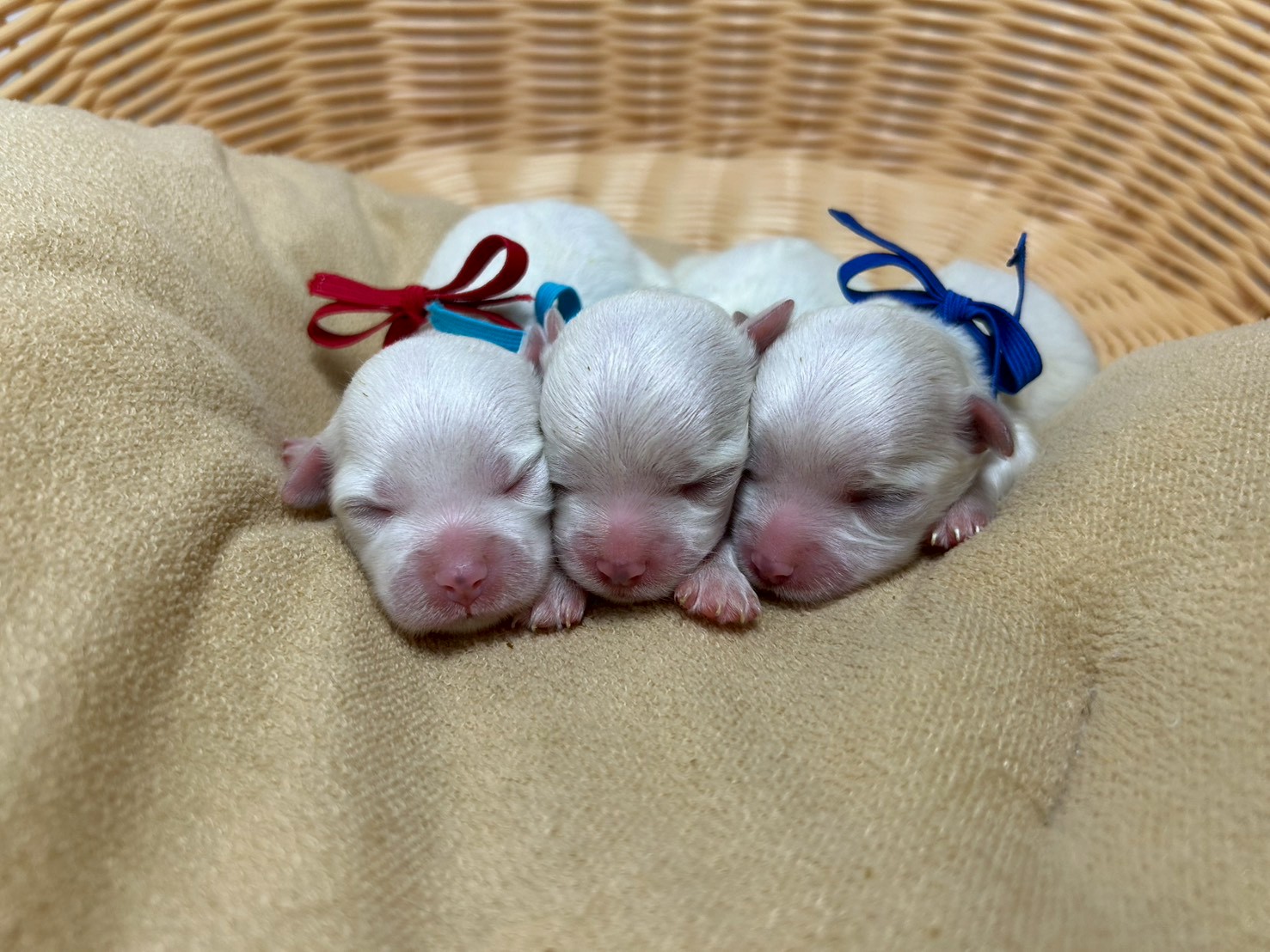 赤ちゃん写真1-3