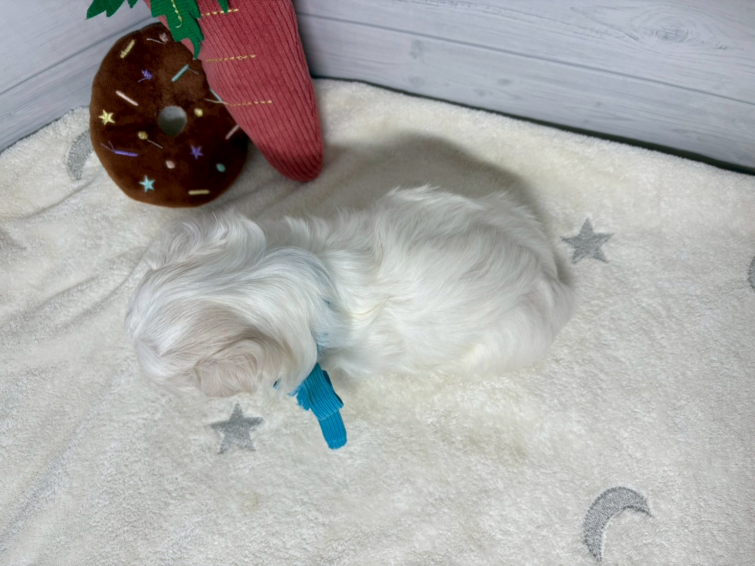 赤ちゃん写真2-3