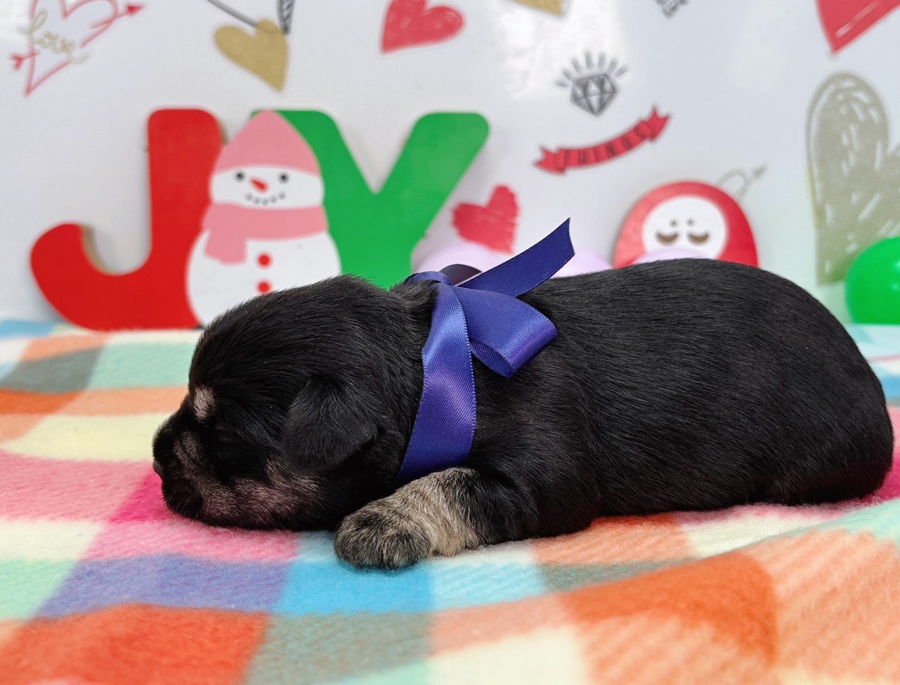 赤ちゃん写真1-2
