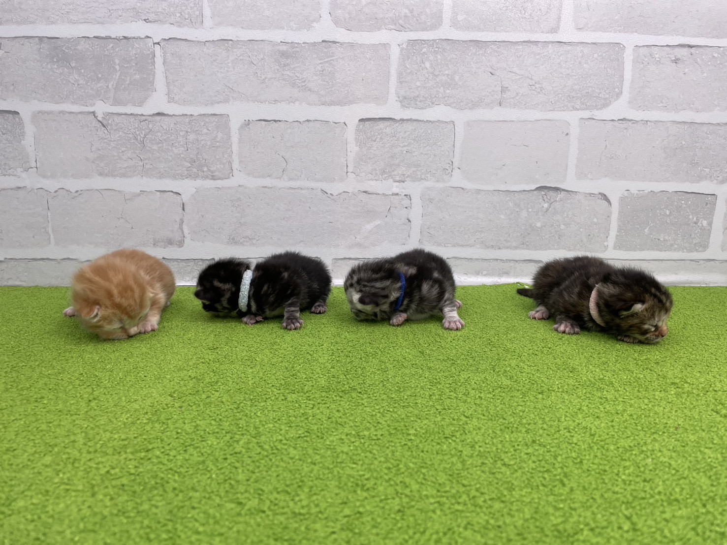 赤ちゃん写真1-3