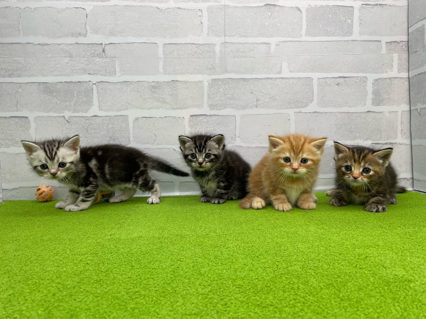 赤ちゃん写真2-3