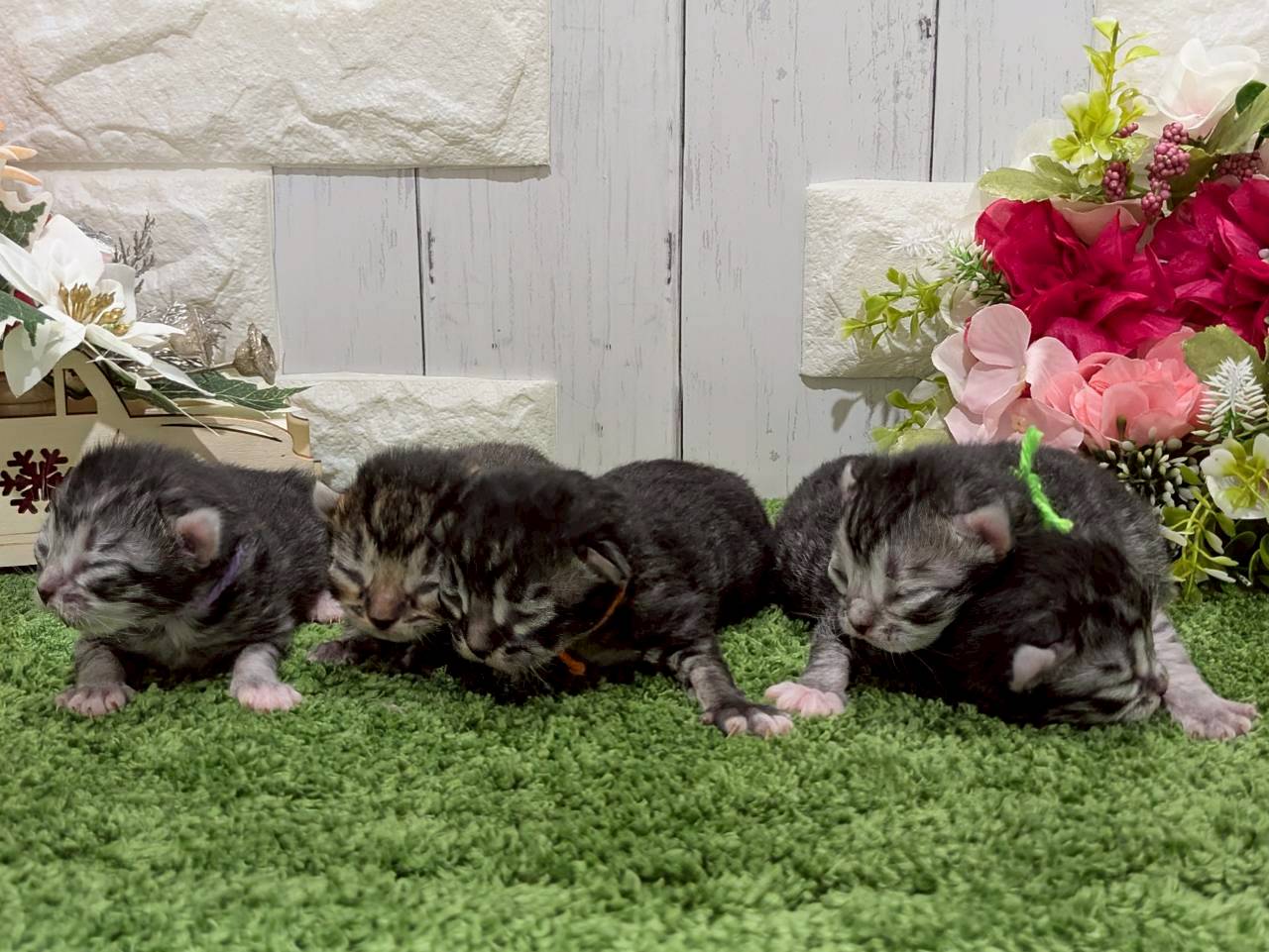 赤ちゃん写真1-3