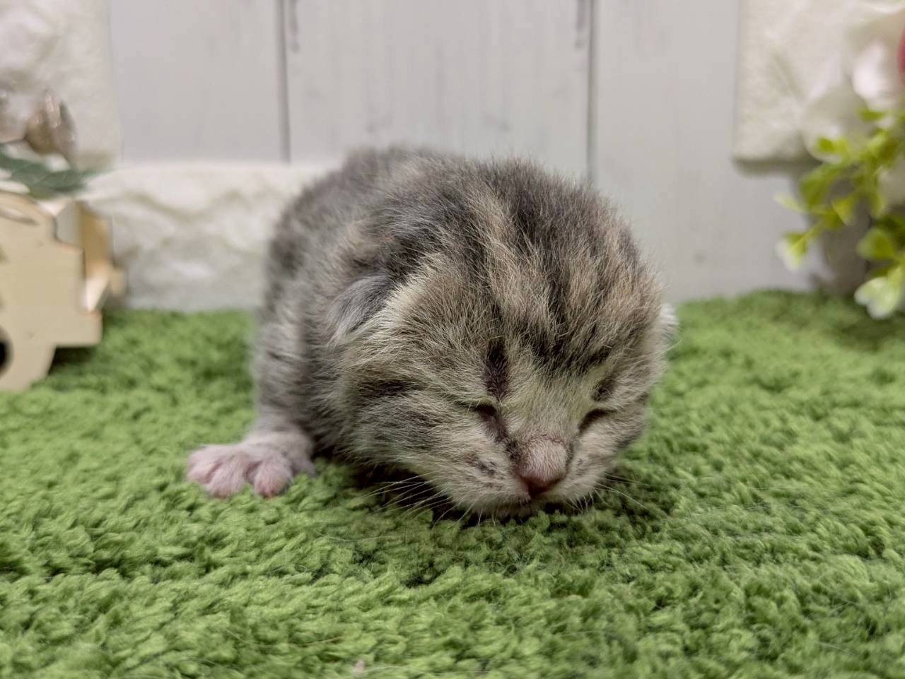 赤ちゃん写真1-1