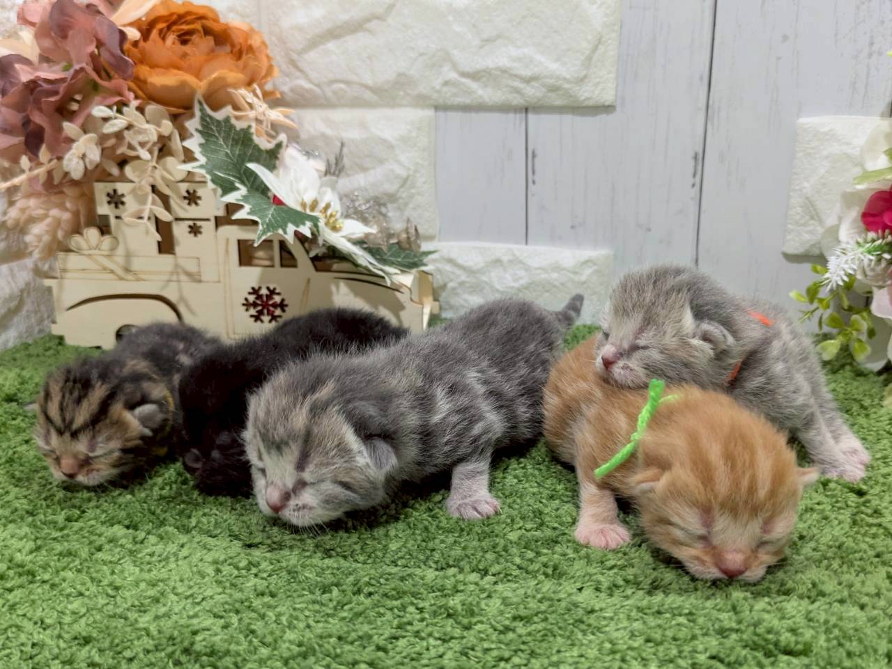 赤ちゃん写真1-3