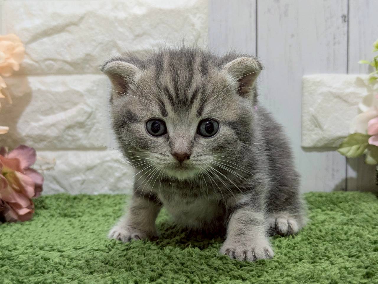 赤ちゃん写真2-1