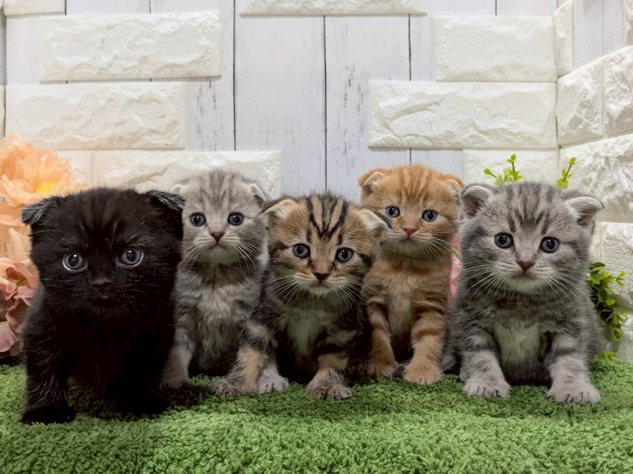 赤ちゃん写真2-3