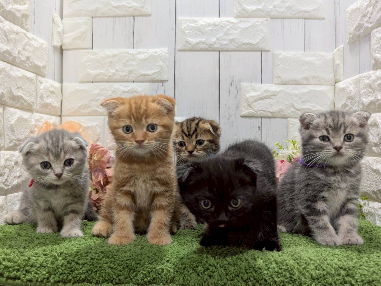 赤ちゃん写真3-3