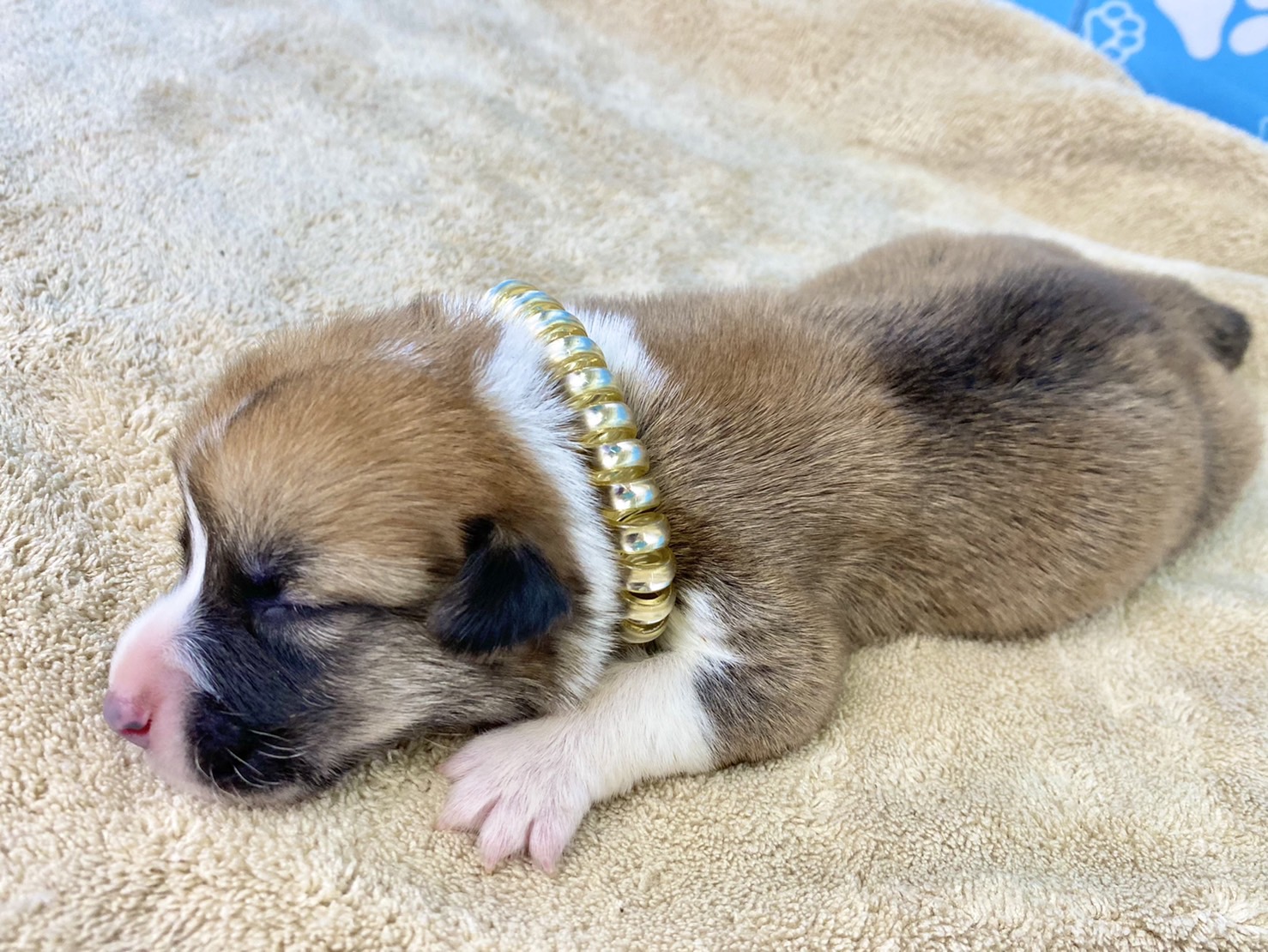 赤ちゃん写真1-3