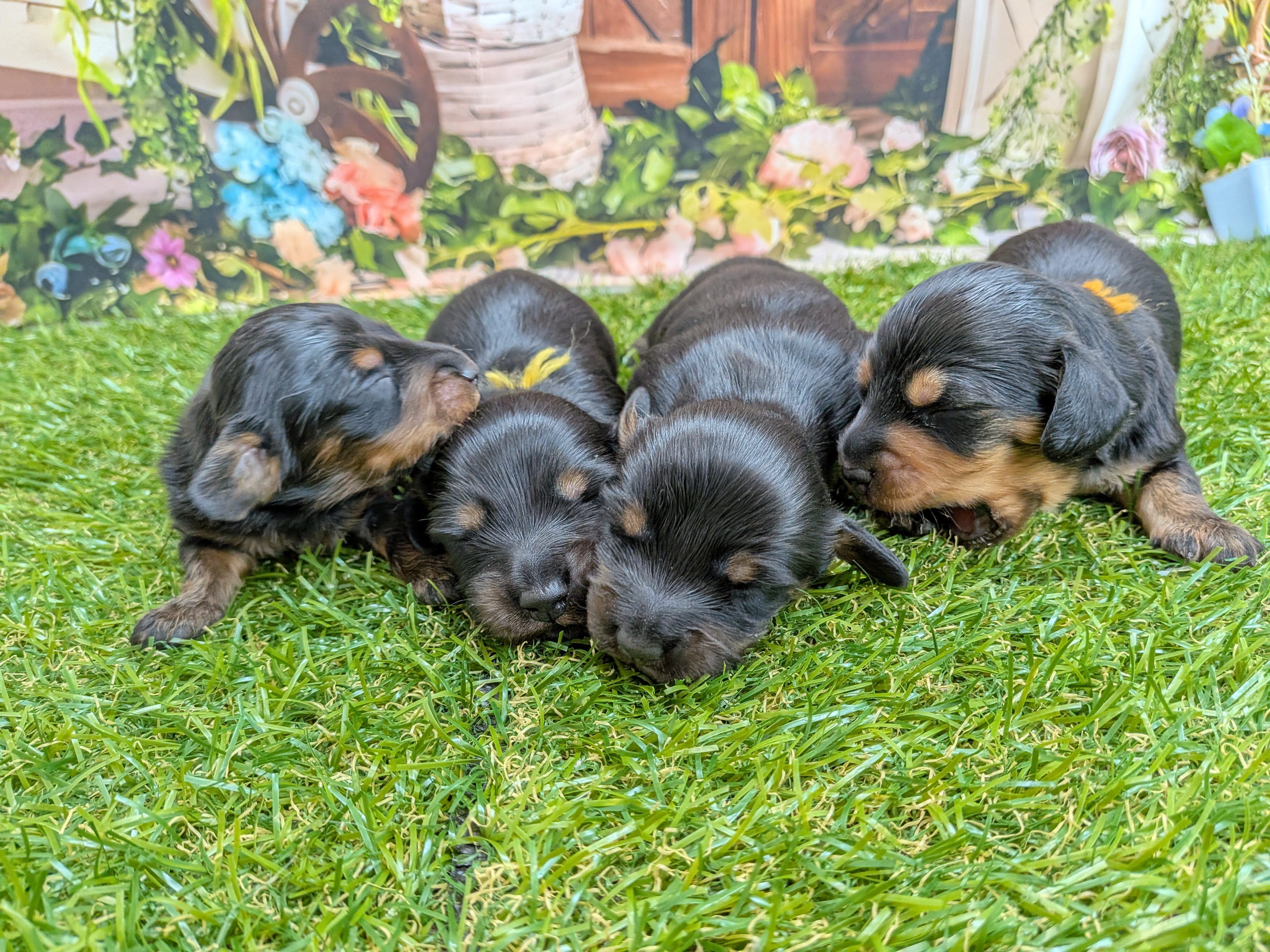 赤ちゃん写真1-3