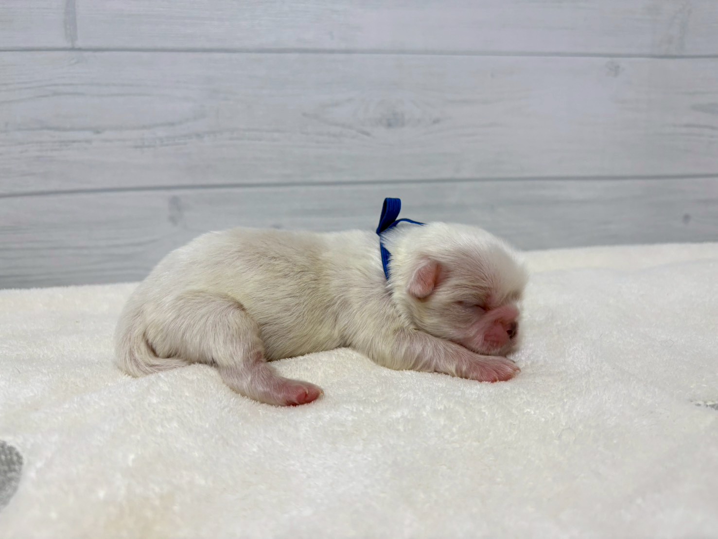 赤ちゃん写真1-2