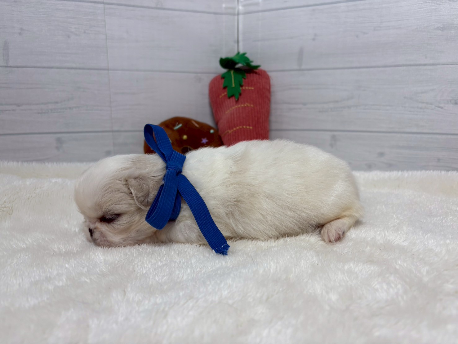 赤ちゃん写真2-2