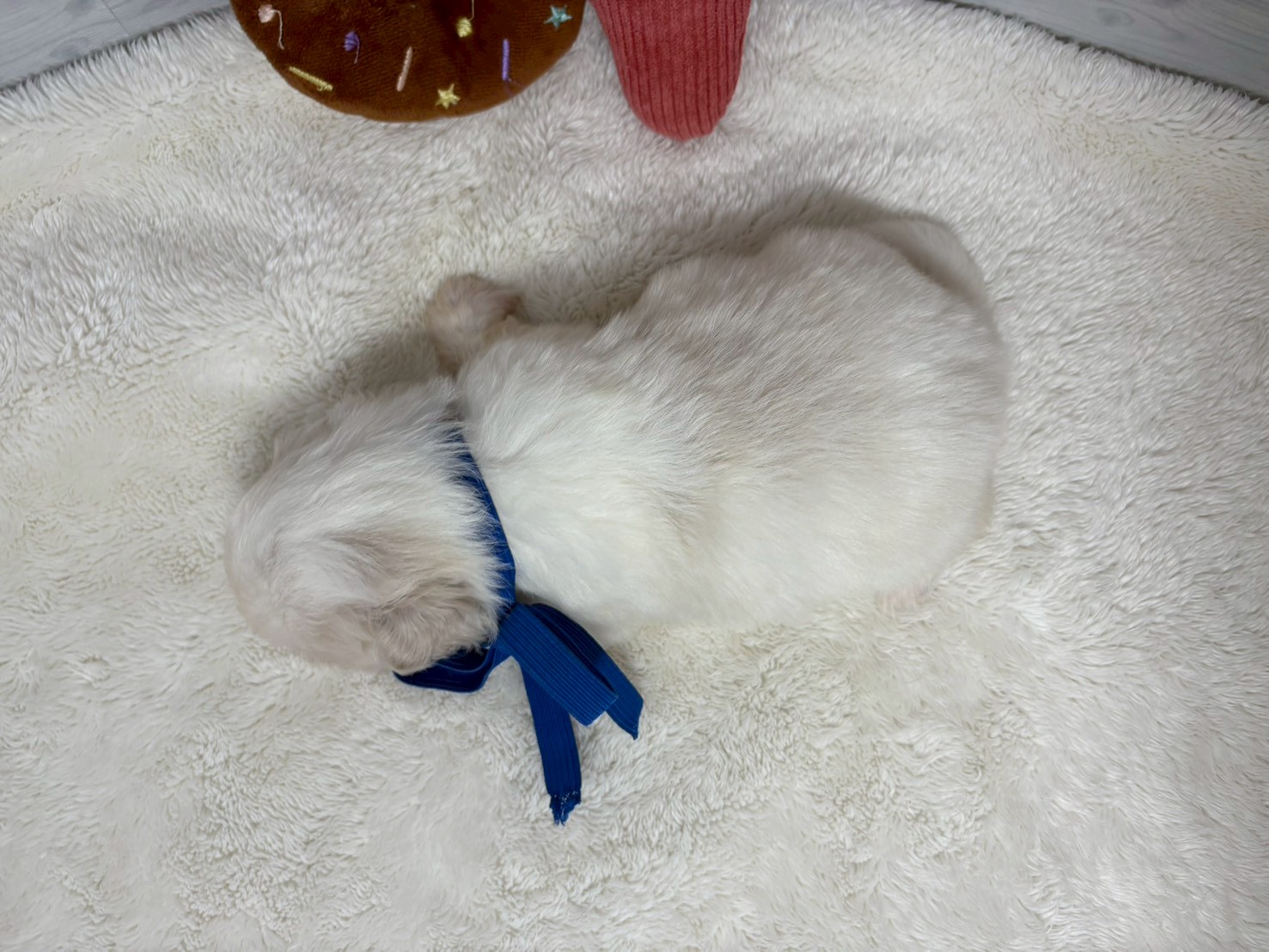 赤ちゃん写真2-3
