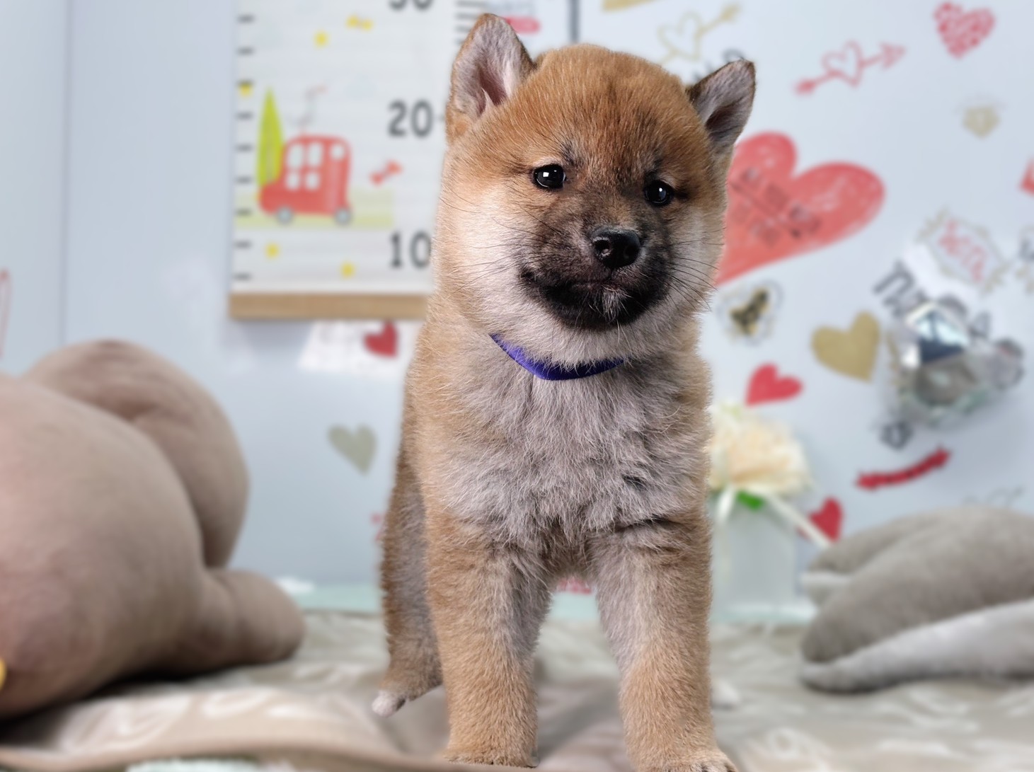 赤ちゃん写真2-1